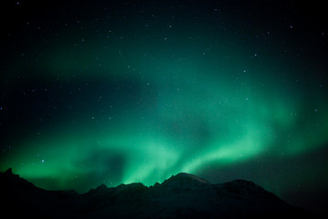Leinwandbilder Nordlichter Aurora Borealis bei Tromsø Norwegen  © jamenpercy