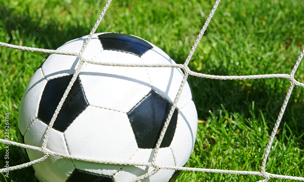 Naklejka premium Fußball Tor - Soccer Goal