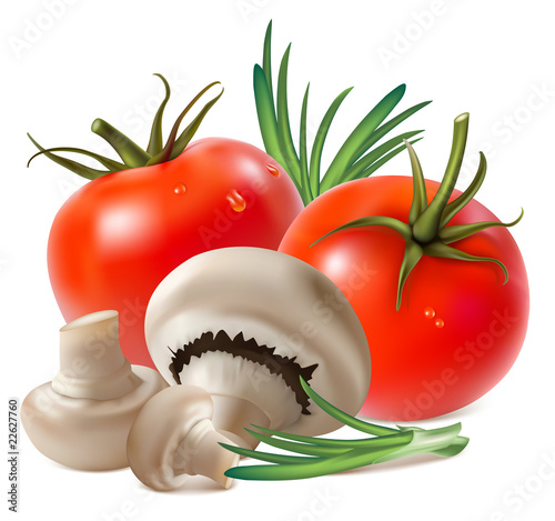 Vector. Mushroom champignon and ripe tomatoes..