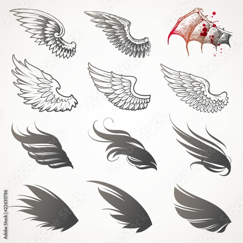Vector set of wings photo