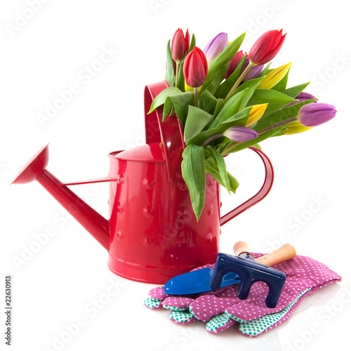 Decorative watering can with flowers