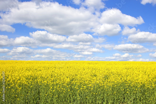 colorful spring day