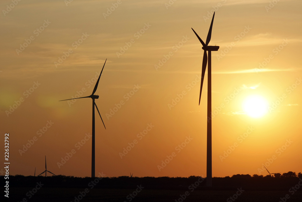 Wind Park at sunset