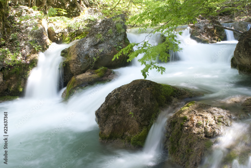 Obraz premium Waterfall in the forest