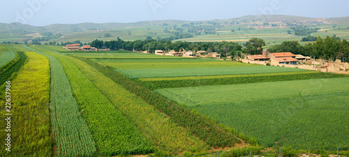 inner mongolia: village and farmland