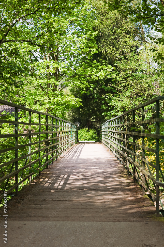 Obraz premium Holzsteg