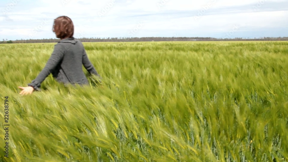 promenade dans les blés promenade dans les blés