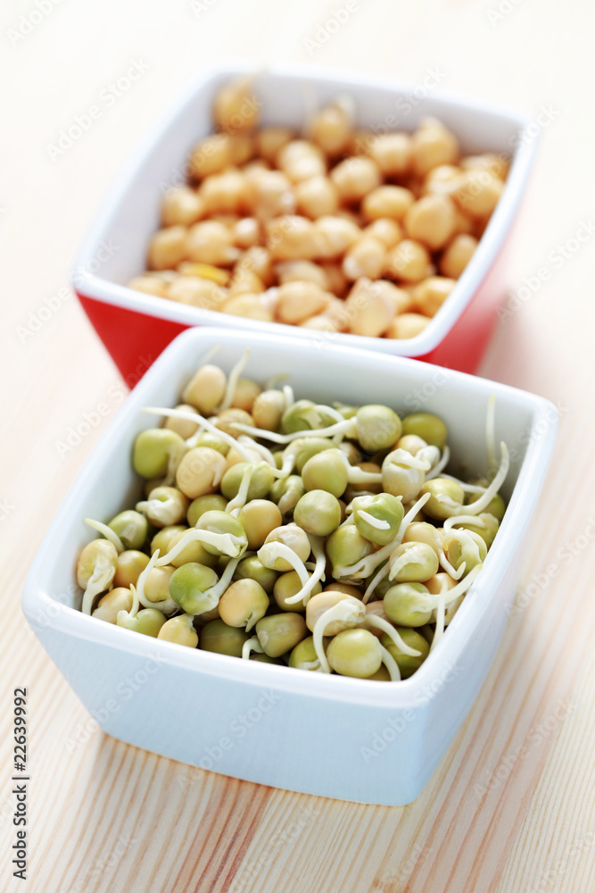 vegetable sprouts vegetable sprouts