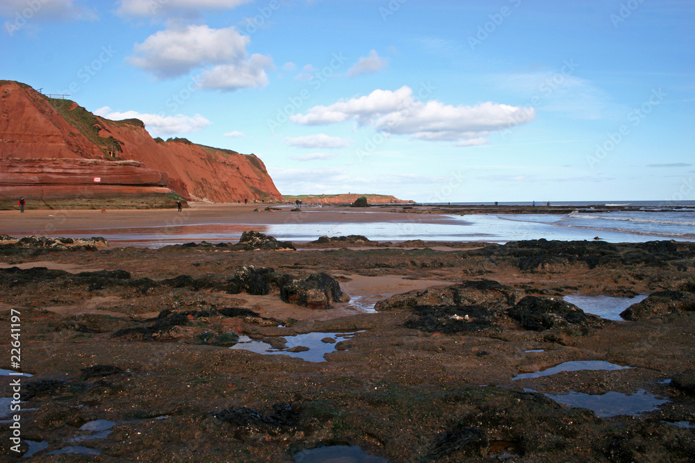 Exmouth cliffs and beach