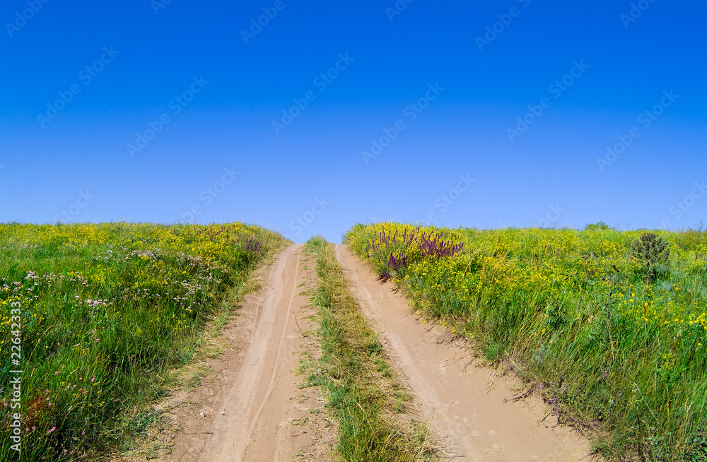 field road bloom field road bloom