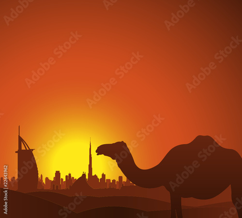 Dubai Skyline photo