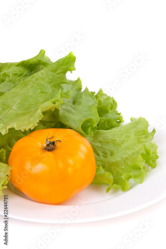 Tomatoe and salad on a plate