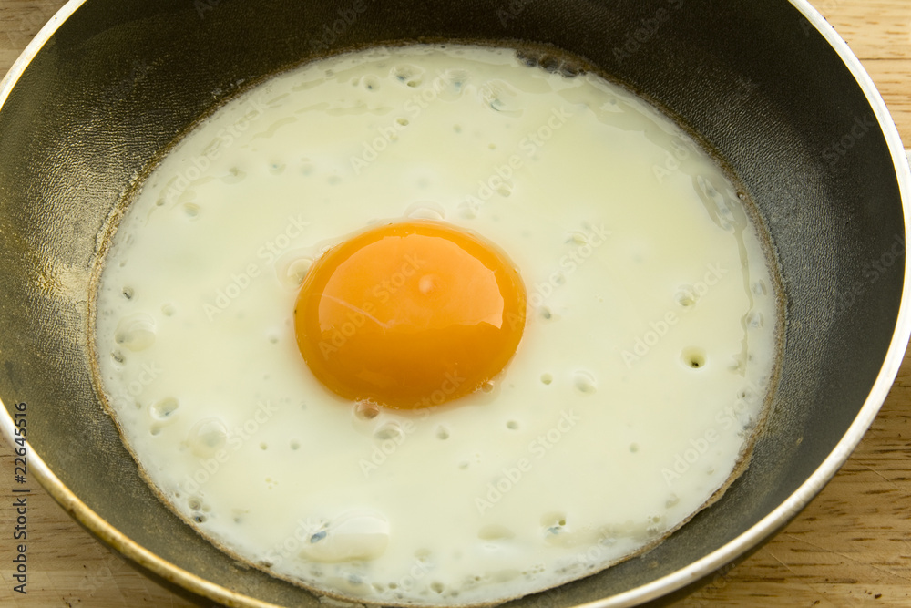 fryed egg