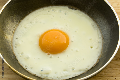 fryed egg