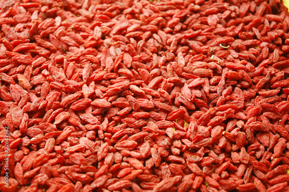 isolated macro of chinese wolfberry isolated macro of chinese wolfberry