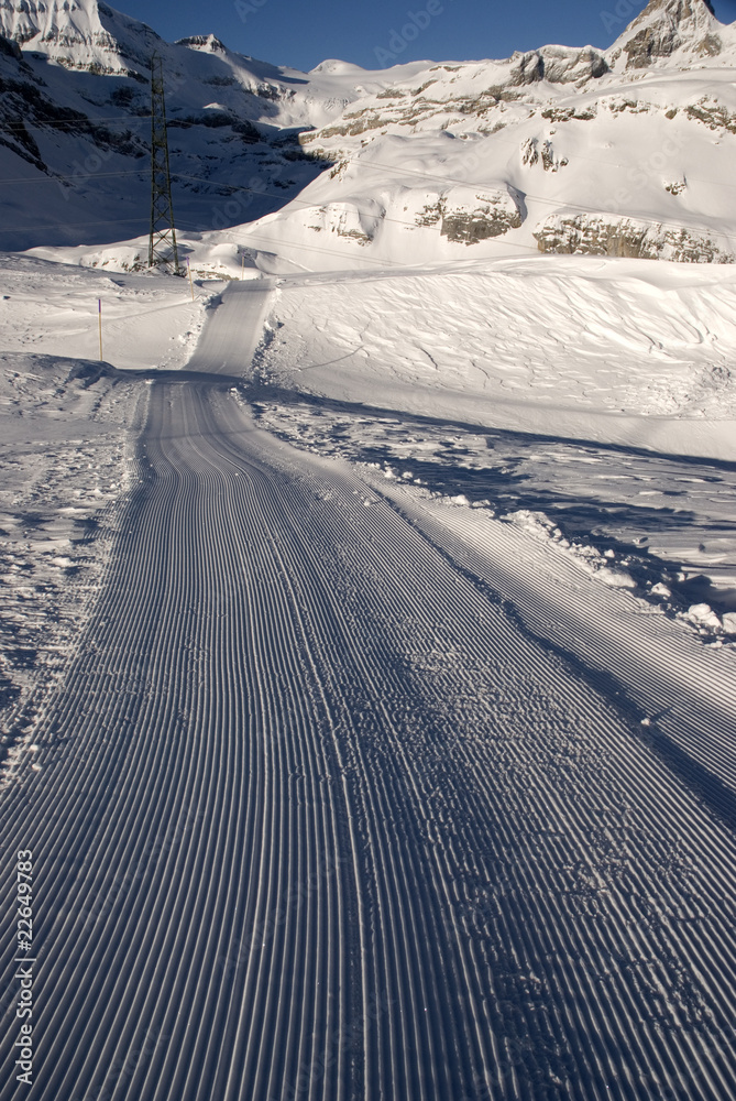 Snowcat's track