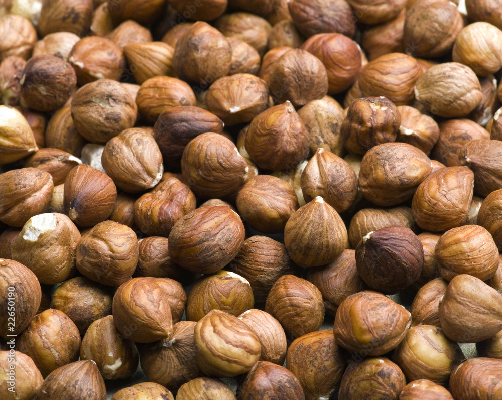 Close-up Of Hazelnuts Close-up Of Hazelnuts