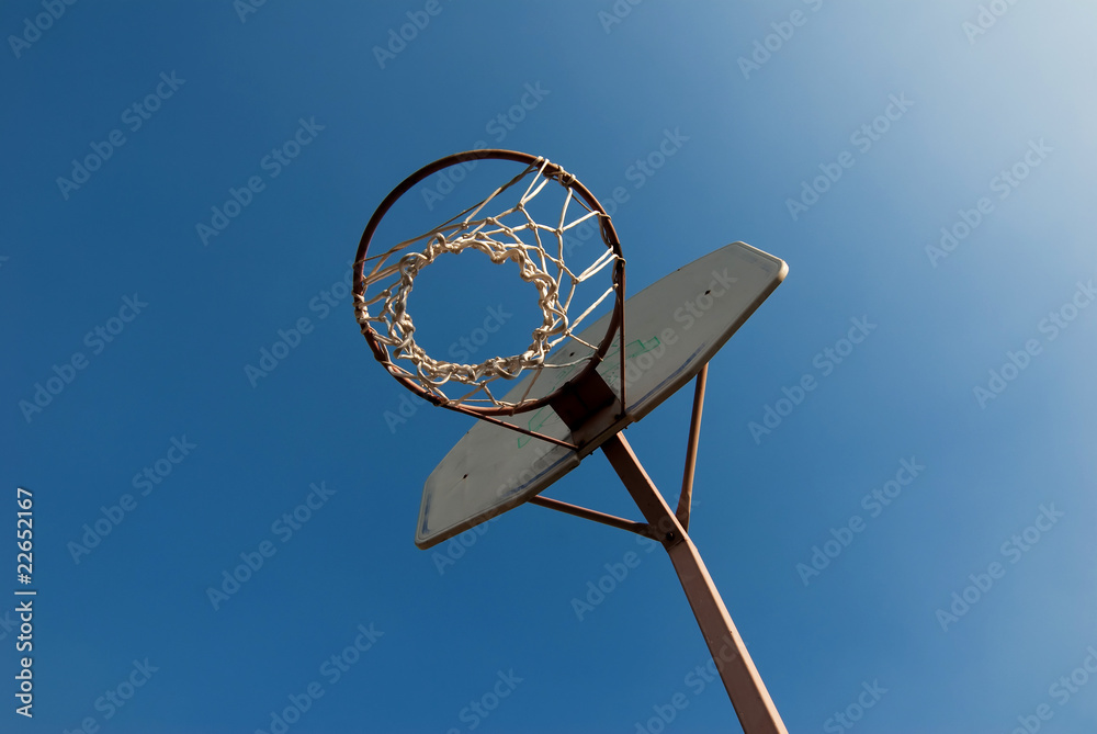 basket basket