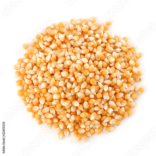 Pile of corn seeds