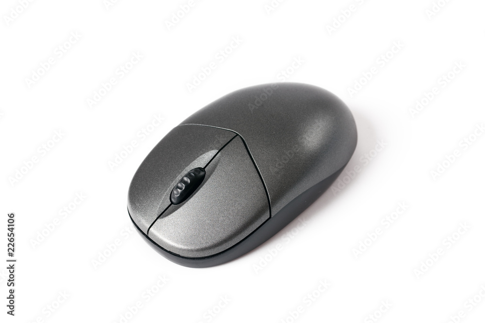 computer mouse computer mouse