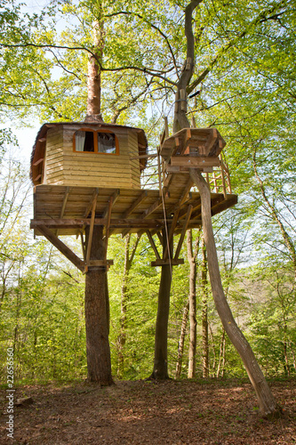 chalet dans un arbre photo