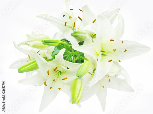 bouquet of white lilies photo