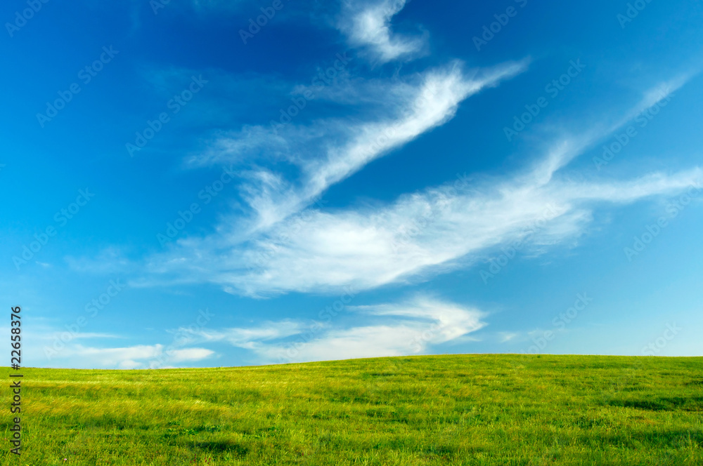 Green grass and blue sky background Green grass and blue sky background