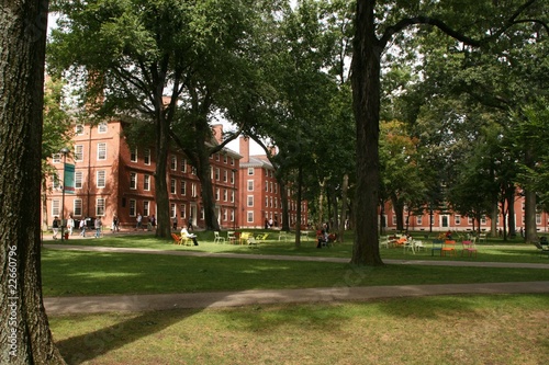 Summertime Harvard