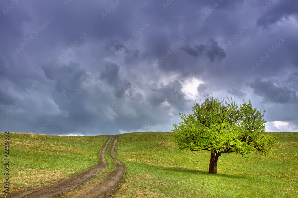 Naklejka premium After rain