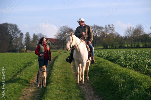 Spaziergang mit Hund und Pferd © Conny Hagen