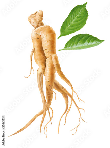 Foto Ginseng