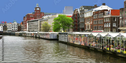 amsterdam marché aux fleurs