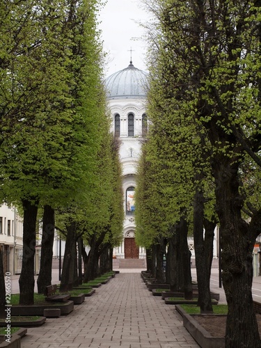Obraz na płótnie The street w salonie