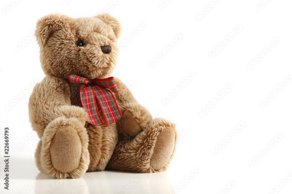 Obraz premium Fluffy teddy bear isolated on white