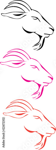 goat vector illustration