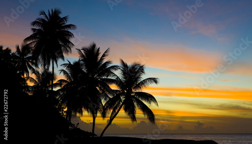 Fototapeta Naklejka Na Ścianę i Meble -  sunset over Caribbean Sea, Turtle Beach, Tobago