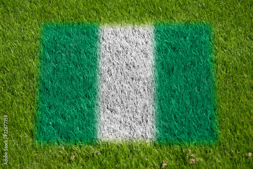 flag of nigeria on grass
