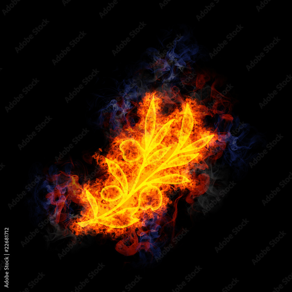 Fototapeta premium Fiery Olive tree branch.