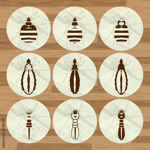 Insect background - set vector
