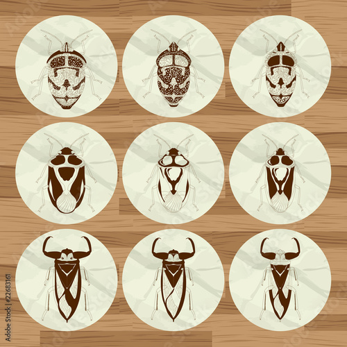 Insect background set vector