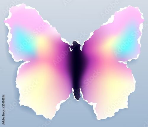 Butterfly, vector illustration