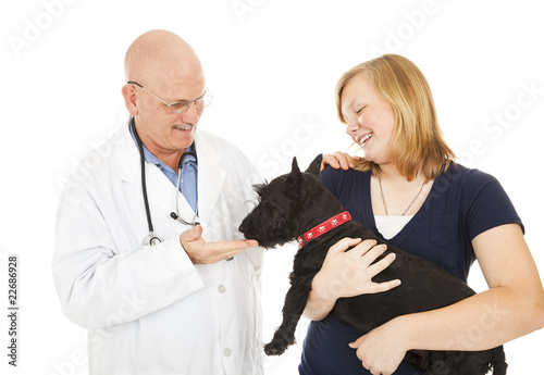 Visit to the Veterinarian