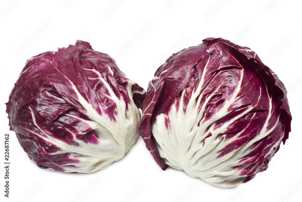 Obraz premium Radicchio