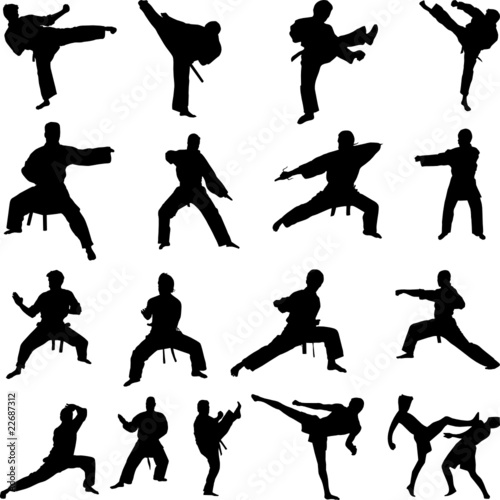 Various karate poses silhouettes