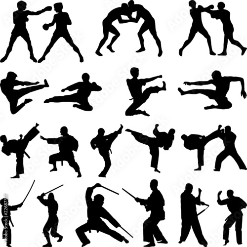 Various martial arts silhouettes