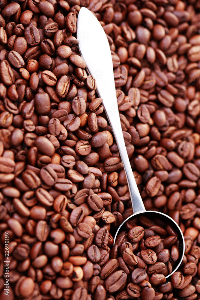 Fototapeta premium spoon of coffee beans