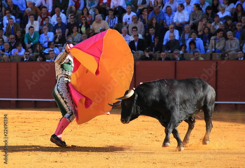 Bull fight at Seville photo