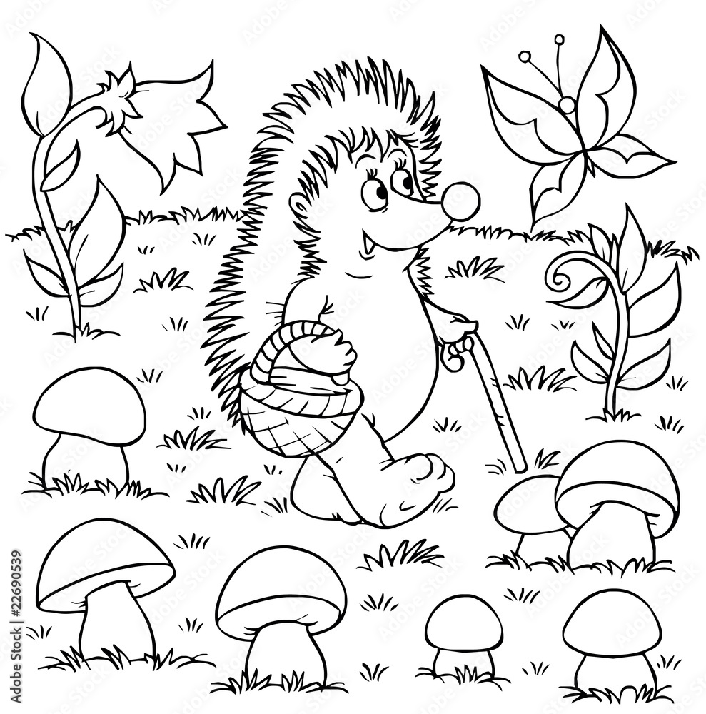 Fototapeta premium Hedgehog gathers mushrooms