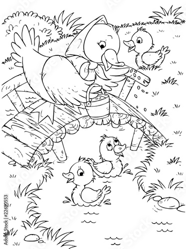 Duck and ducklings