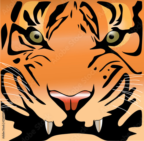 tiger face